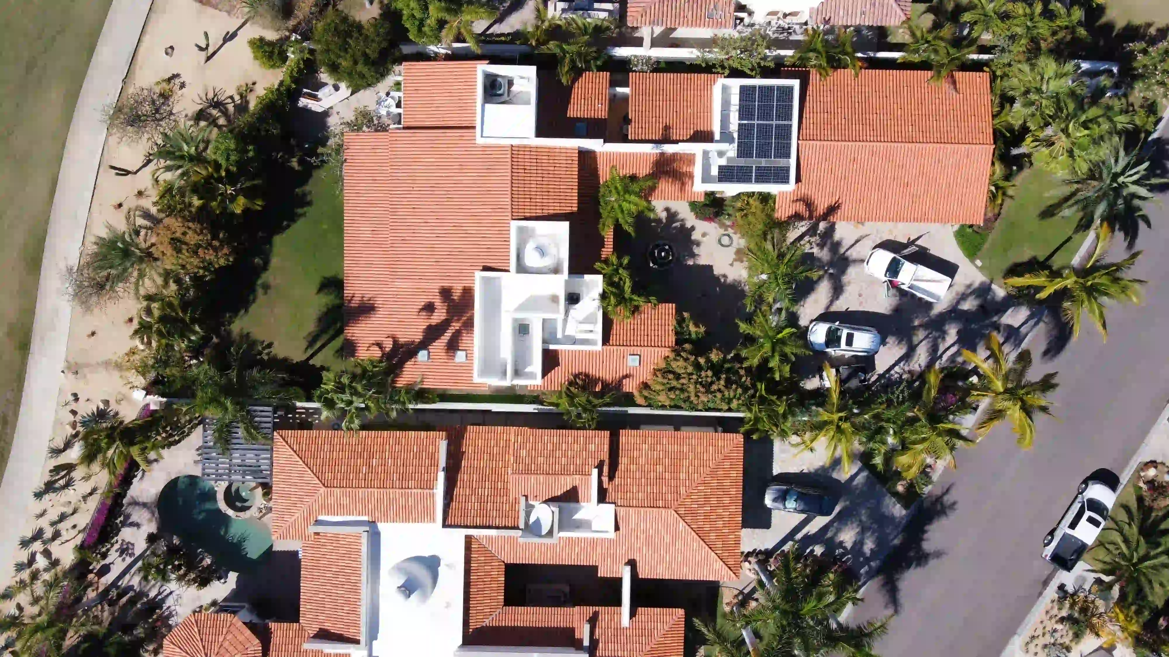 Palmilla - Galería del proyecto 15